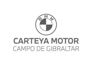BMW Carteya Motor